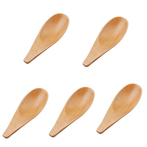 Mini Wooden Spoons for Spice Jars