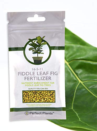 Perfect Plants Fiddle Leaf Fig Slow-Release Fertilizer