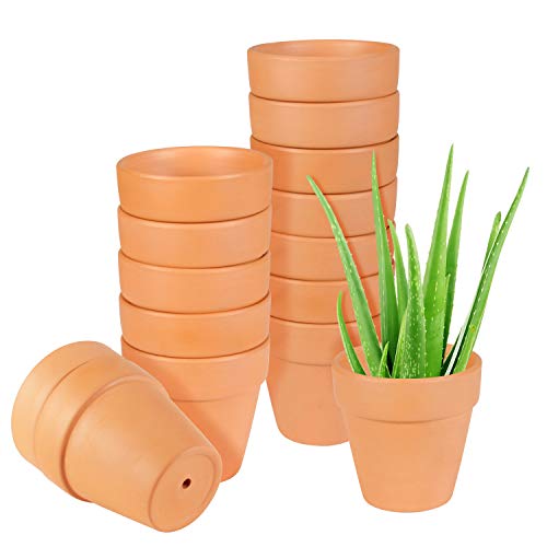 Terracotta Pots for Plants Succulent Pots