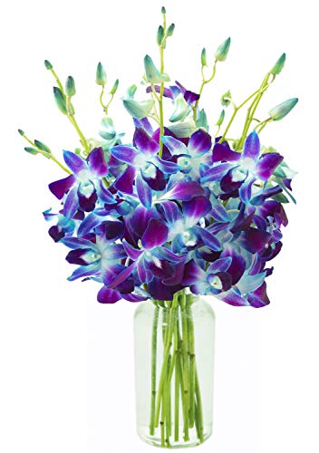 Kabloom Sapphire Orchid Bouquet with Vase