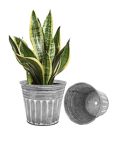 Silver Metal Rustic Flower Pots - 2Pcs Medium Galvanized Planters