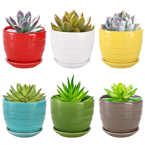 Colorful Ceramic Succulent Planters