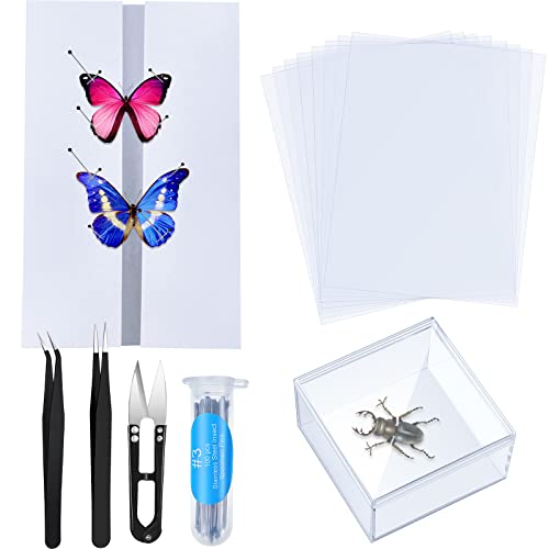 Insect Specimen Tools Kit