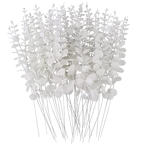 FEQO 36 Pcs White Eucalyptus Stems Decor