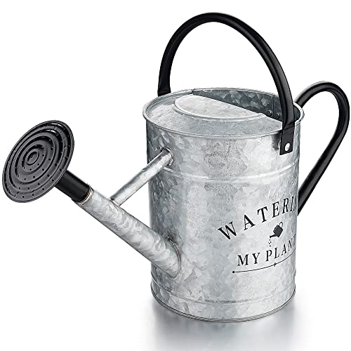 1 Gallon Decorative Countryside Style Watering Can