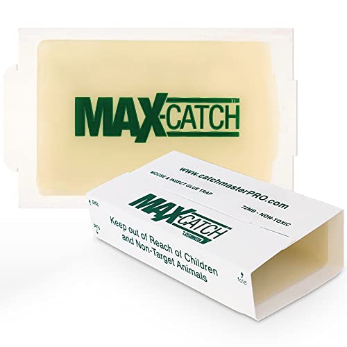Max-Catch Mouse & Insect Glue Trap 36PK