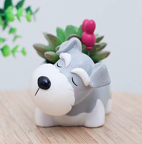 Creative Schnauzer Dog Succulent Planter Pots
