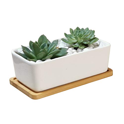 LANKER Ceramic Succulent Planter