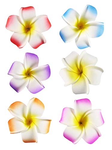 Hawaiian Hair Flower Clip Hair Barrettes for Women