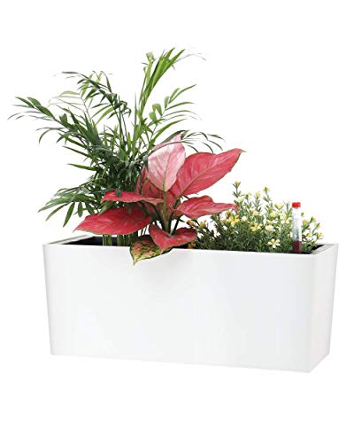 Rectangle Self Watering Planter with Water Level Indicators