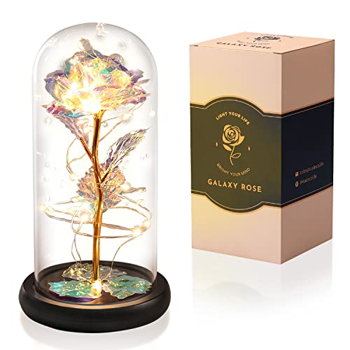 VUDECO Beauty and The Beast Rose in Glass Dome