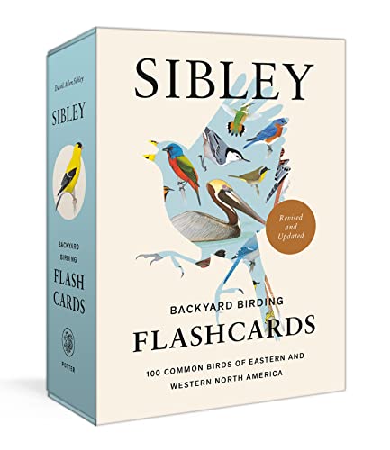 Sibley Backyard Birding Flashcards: Identify 100 Common Birds