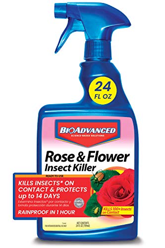 Rose and Flower Insect Killer