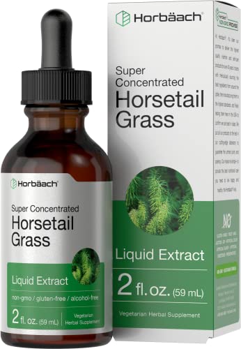 Horsetail Herb Liquid Extract