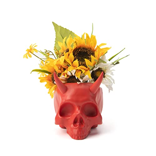 Skull Succulent Plant Pot Office/Home/Garden Decoration Figurines