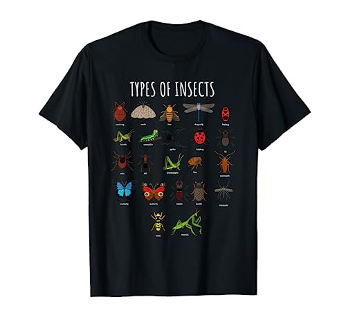 Bug Identification Types Of Insects Tee