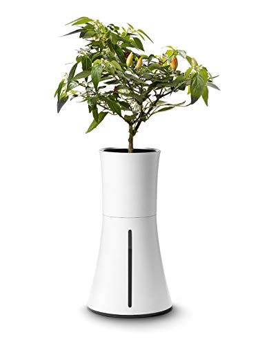 Botanium Hydroponic Indoor Gardening Pot
