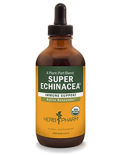Organic Super Echinacea Liquid Extract for Immune System Support