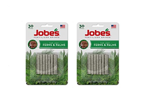 Jobe's Fern & Palm Indoor Fertilizer Food Spikes