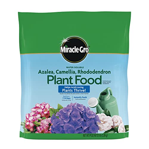 Miracle-Gro Azalea Plant Food - Fertilizer for Acid-Loving Plants