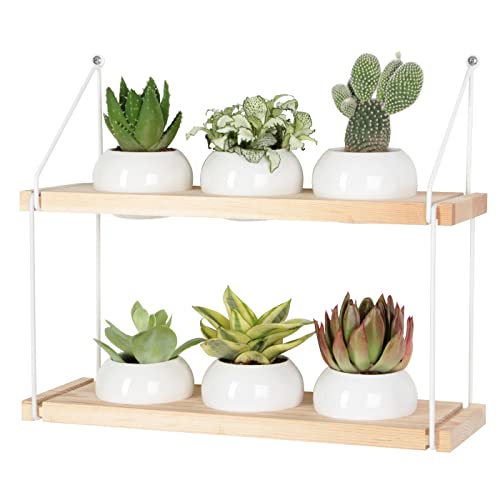 2 Tier Wooden Hanging Planter Set with 6 Pots