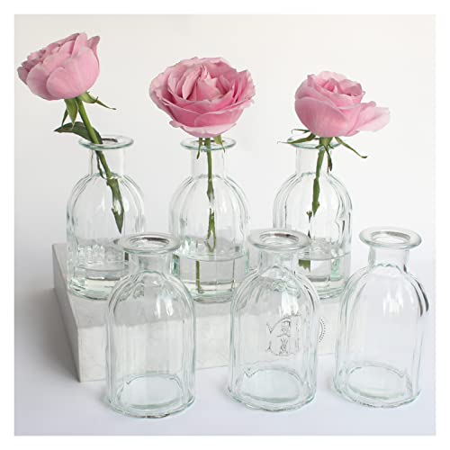 HANIHUA Bud Vases Set - Elegant Glass Vases for Flower Display