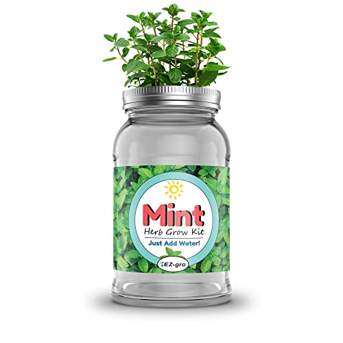 EZ-gro Mint Mason Jar Grow Kit