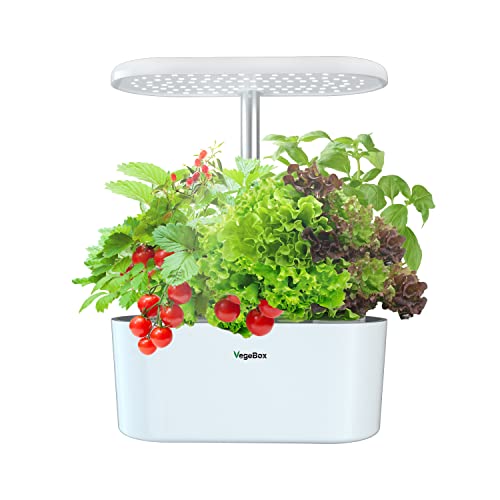 Vegebox Hydroponics Growing System