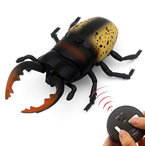 Tipmant RC Beetle Toy Vehicle