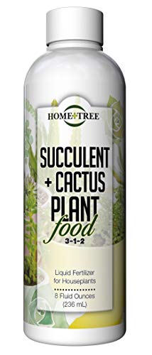 Succulent and Cactus Fertilizer - Plant A Tree