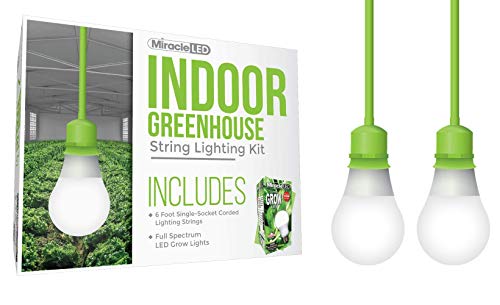 Miracle LED Indoor Greenhouse Kit