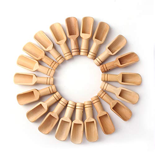 30PCS Mini Wooden Spoon Set by Sansheng