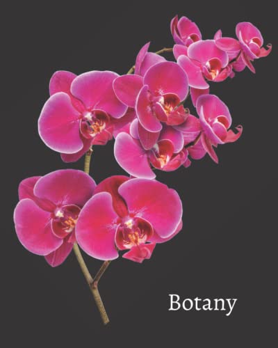 Botany Notebook: Pink Orchid Design