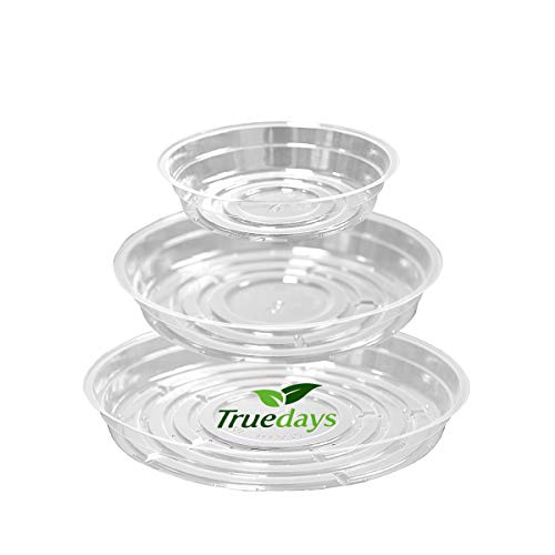 15 Pack Clear Plant Saucers Flower Pot Tray