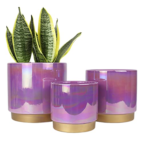 Gepege Ceramic Pots for Plants