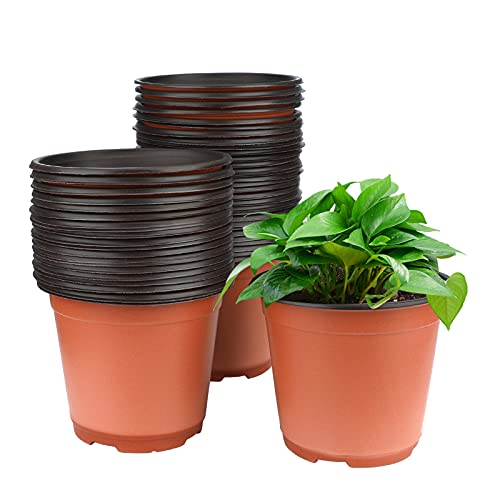 KINGLAKE Plastic Nursery Seedlings Pot