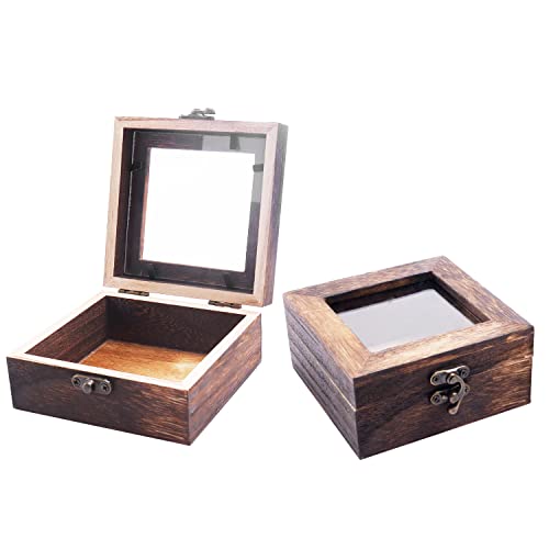 Dustproof Insect Display Case Shadow Box Frame