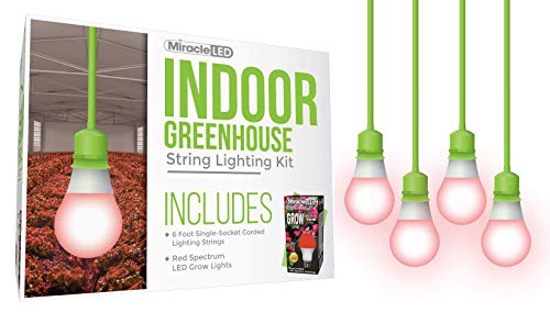 Miracle LED Greenhouse Kit with Red Spectrum Grow Light