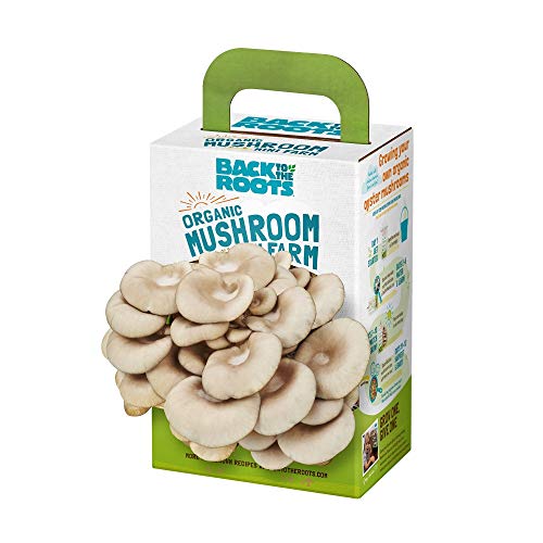 Organic Mini Mushroom Grow Kit