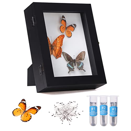 IHEIPYE Insect Display Case