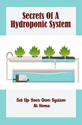 Hydroponic System Secrets: Set Up Your Own at Home