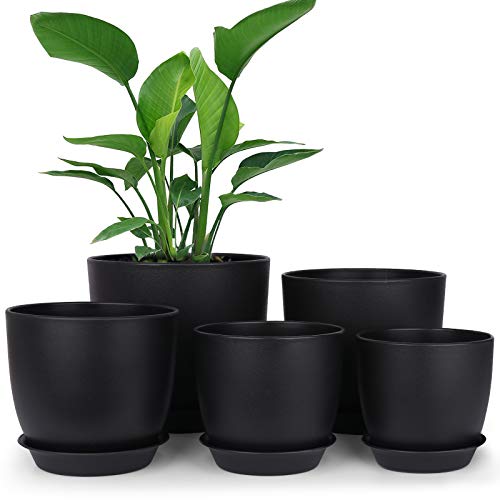 Plastic Planters for Indoor Plants with Drainage Hole and Tray