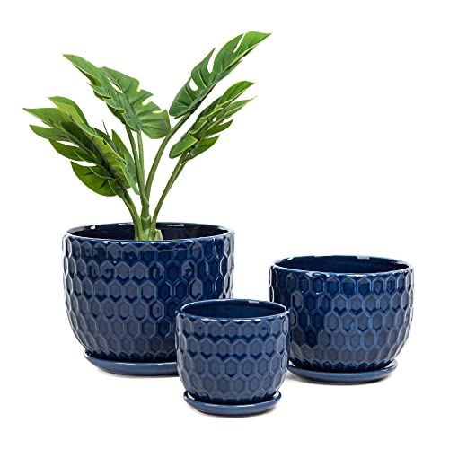 Ceramic Flower Pots with Drainage Hole and Saucer