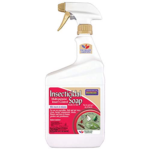 Bonide Insecticidal Soap Spray