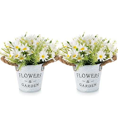 BLOSMON Artificial White Daisy Flowers Pot - Decorate Your Space with Delicate Beauty