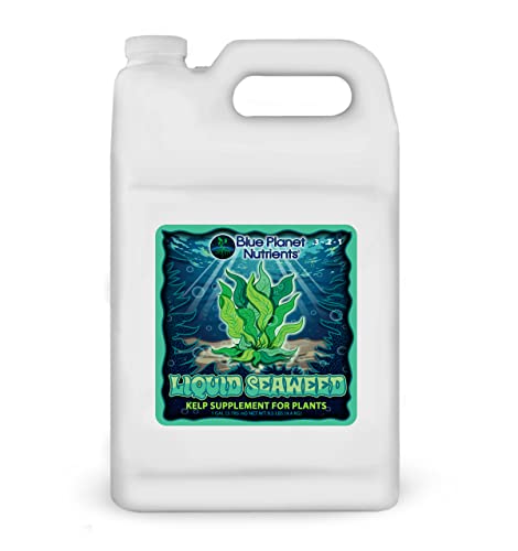 Liquid Seaweed for Plants (128 oz) Gallon
