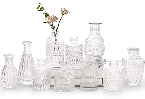 Glass Bud Vase Set - Small Vases for Flowers