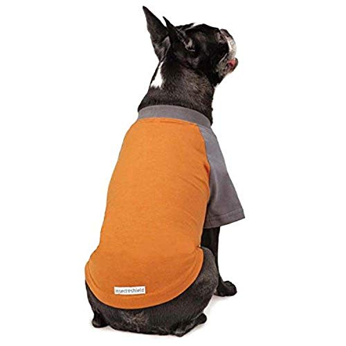 Insect Shield Repellant T-Shirt for Dogs
