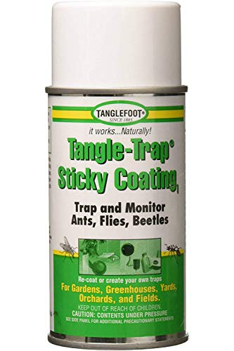 Tanglefoot Fly Tangle-Trap Sticky Coating