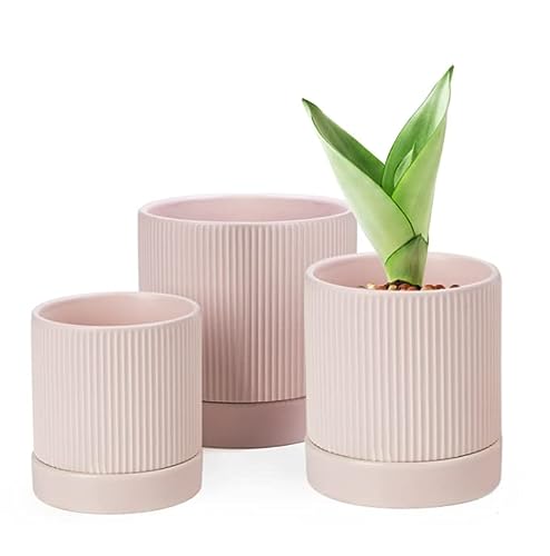 LaDoVita Ceramic Plant Pots